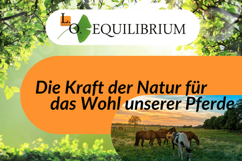 slogan LO EQUILIBRIUM